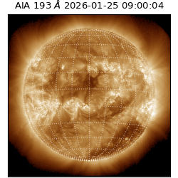 saia - 2026-01-25T09:00:04.843000