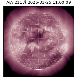 saia - 2026-01-25T11:00:09.631000