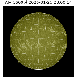 saia - 2026-01-25T23:00:14.129000