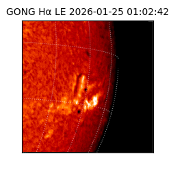 gong - 2026-01-25T01:02:42