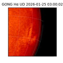 gong - 2026-01-25T03:00:02