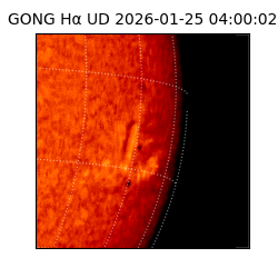 gong - 2026-01-25T04:00:02