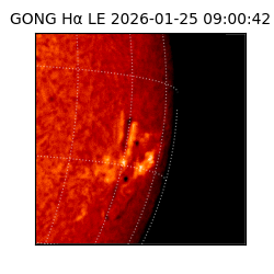 gong - 2026-01-25T09:00:42