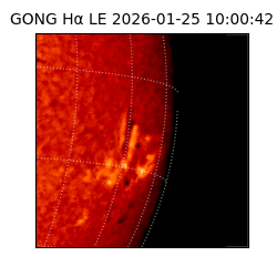 gong - 2026-01-25T10:00:42