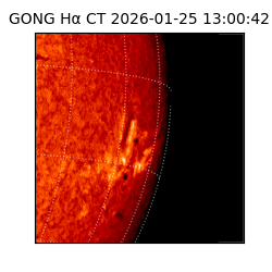 gong - 2026-01-25T13:00:42