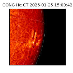 gong - 2026-01-25T15:00:42