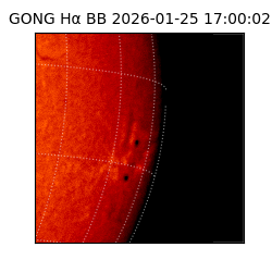 gong - 2026-01-25T17:00:02