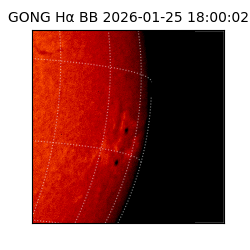 gong - 2026-01-25T18:00:02