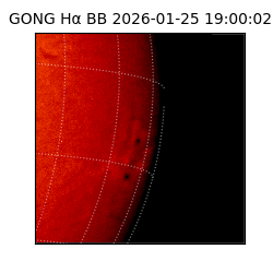 gong - 2026-01-25T19:00:02