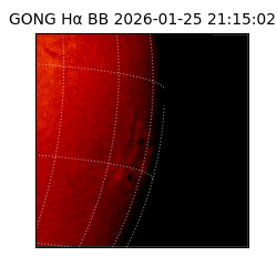 gong - 2026-01-25T21:15:02
