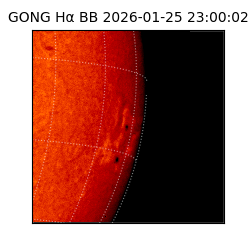 gong - 2026-01-25T23:00:02