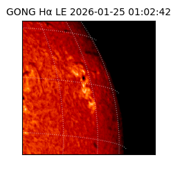 gong - 2026-01-25T01:02:42