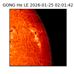 gong - 2026-01-25T02:01:42