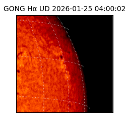gong - 2026-01-25T04:00:02