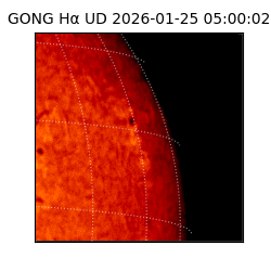 gong - 2026-01-25T05:00:02