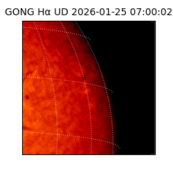 gong - 2026-01-25T07:00:02