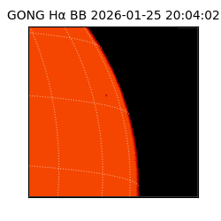 gong - 2026-01-25T20:04:02
