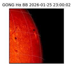 gong - 2026-01-25T23:00:02