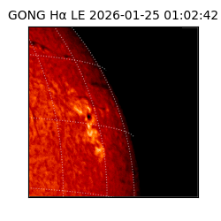 gong - 2026-01-25T01:02:42