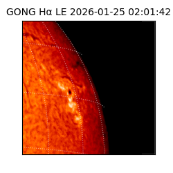gong - 2026-01-25T02:01:42
