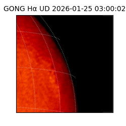 gong - 2026-01-25T03:00:02