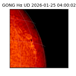 gong - 2026-01-25T04:00:02