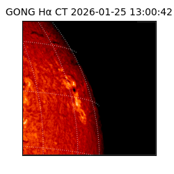 gong - 2026-01-25T13:00:42