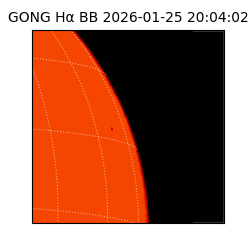 gong - 2026-01-25T20:04:02