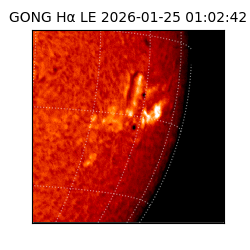gong - 2026-01-25T01:02:42