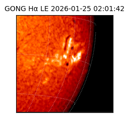 gong - 2026-01-25T02:01:42