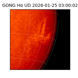 gong - 2026-01-25T03:00:02