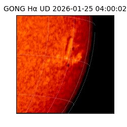 gong - 2026-01-25T04:00:02