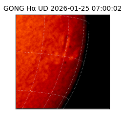 gong - 2026-01-25T07:00:02