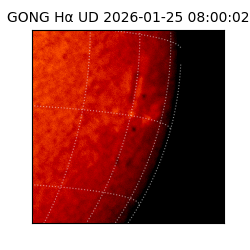 gong - 2026-01-25T08:00:02