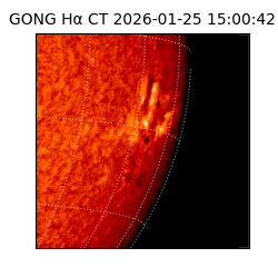 gong - 2026-01-25T15:00:42