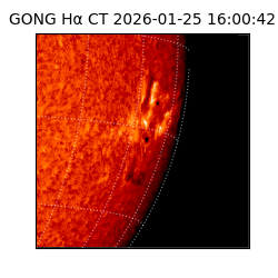gong - 2026-01-25T16:00:42