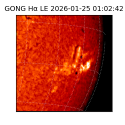 gong - 2026-01-25T01:02:42