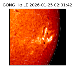 gong - 2026-01-25T02:01:42