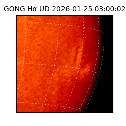 gong - 2026-01-25T03:00:02