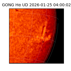 gong - 2026-01-25T04:00:02