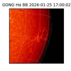 gong - 2026-01-25T17:00:02