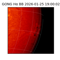 gong - 2026-01-25T19:00:02