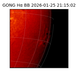 gong - 2026-01-25T21:15:02