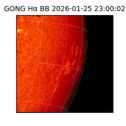 gong - 2026-01-25T23:00:02