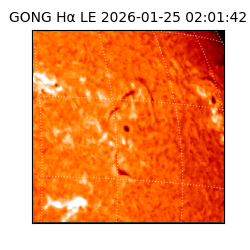 gong - 2026-01-25T02:01:42
