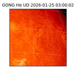 gong - 2026-01-25T03:00:02
