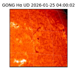 gong - 2026-01-25T04:00:02