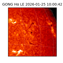 gong - 2026-01-25T10:00:42
