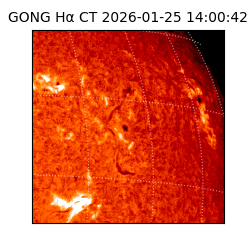 gong - 2026-01-25T14:00:42