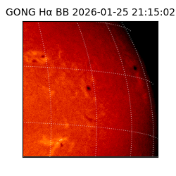 gong - 2026-01-25T21:15:02